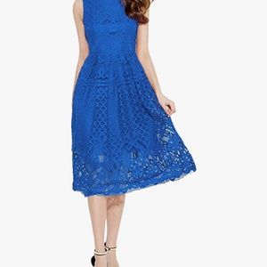 Royal blue lace sleeveless cocktail dress